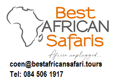 https://www.bestafricansafari.tours/